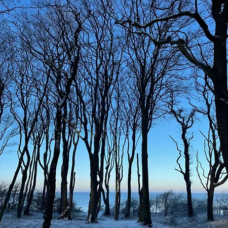 Sanddorn 14 - Luxus Mit Meerblick Daire Börgerende-Rethwisch